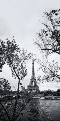 Eiffelturm schwarz-weiss